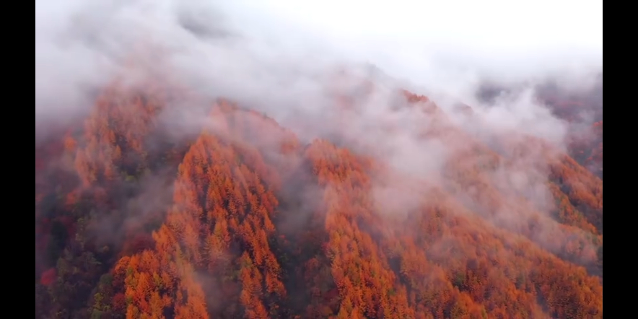 云雾缭绕的自然风光美景，宛如仙境